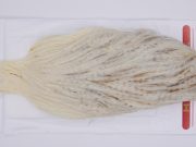 2986 Whiting Hen Cape Variant