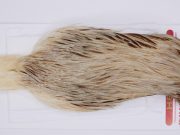 2989 Whiting Hen Cape Variant