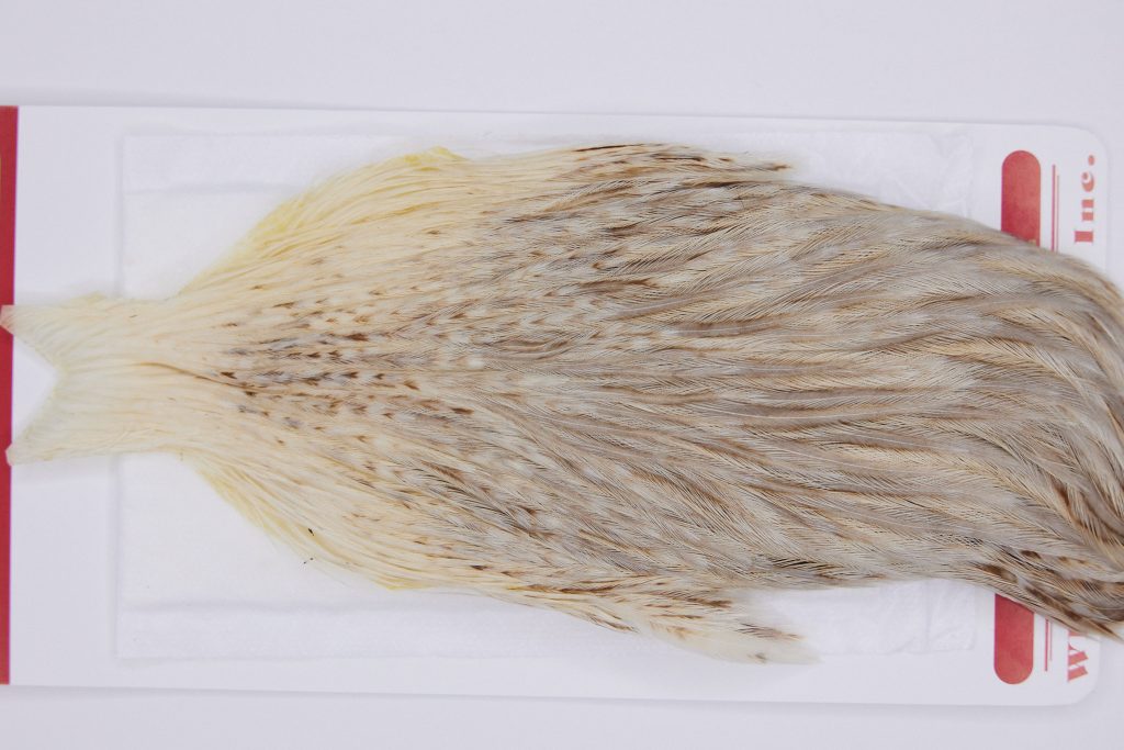 2990 Whiting Hen Cape Variant