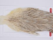 2990 Whiting Hen Cape Variant