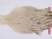 2991 Whiting Hen Cape Variant