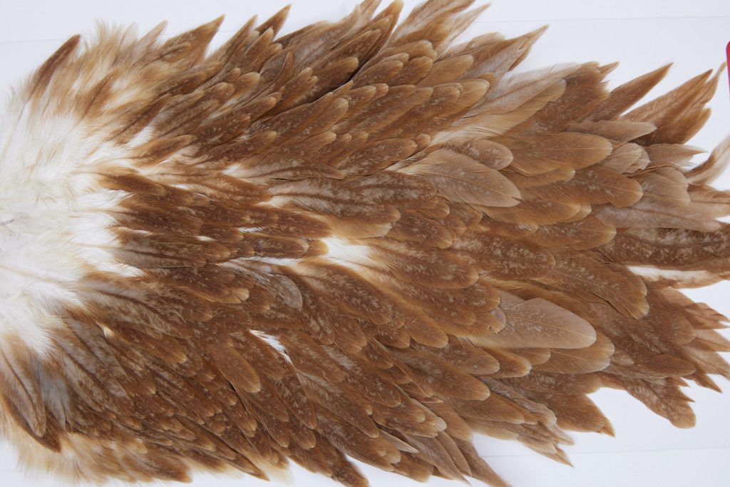 3003 Whiting Hen Saddle Brown