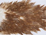 3003 Whiting Hen Saddle Brown