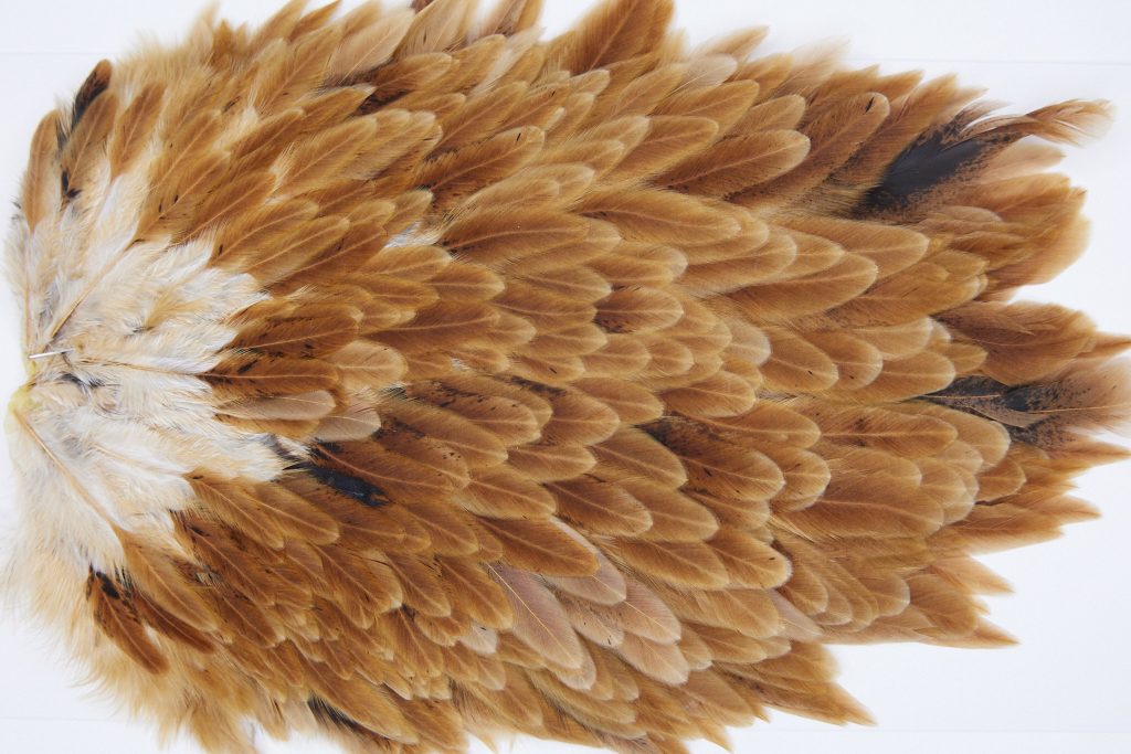 3004 Whiting Hen Saddle Brown