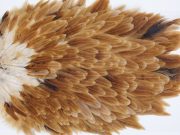 3004 Whiting Hen Saddle Brown