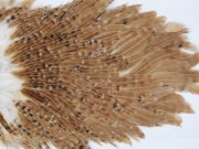 3007 Whiting Hen Saddle Brown