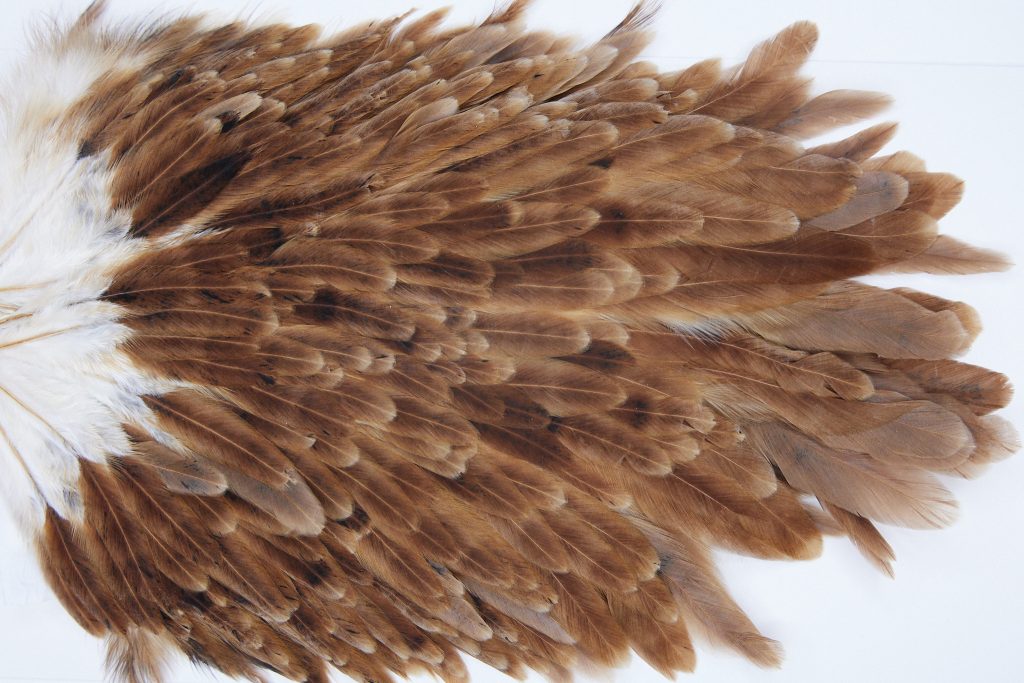 3012 Whiting Hen Saddle Brown