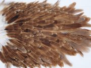 3012 Whiting Hen Saddle Brown