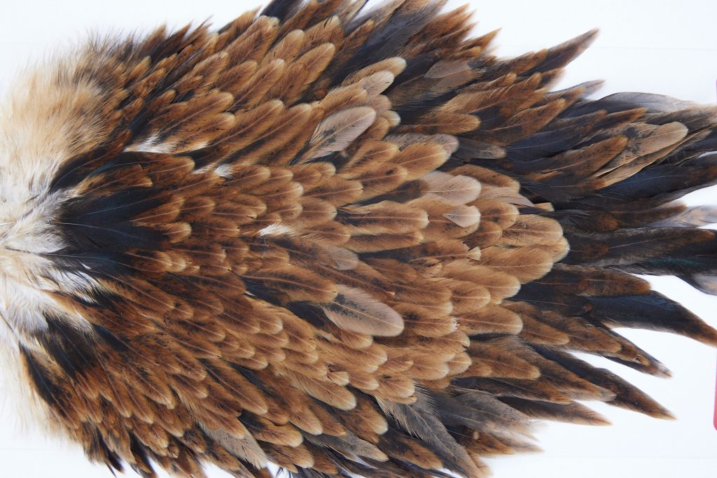 3014 Whiting Hen Saddle Brown