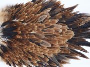 3014 Whiting Hen Saddle Brown