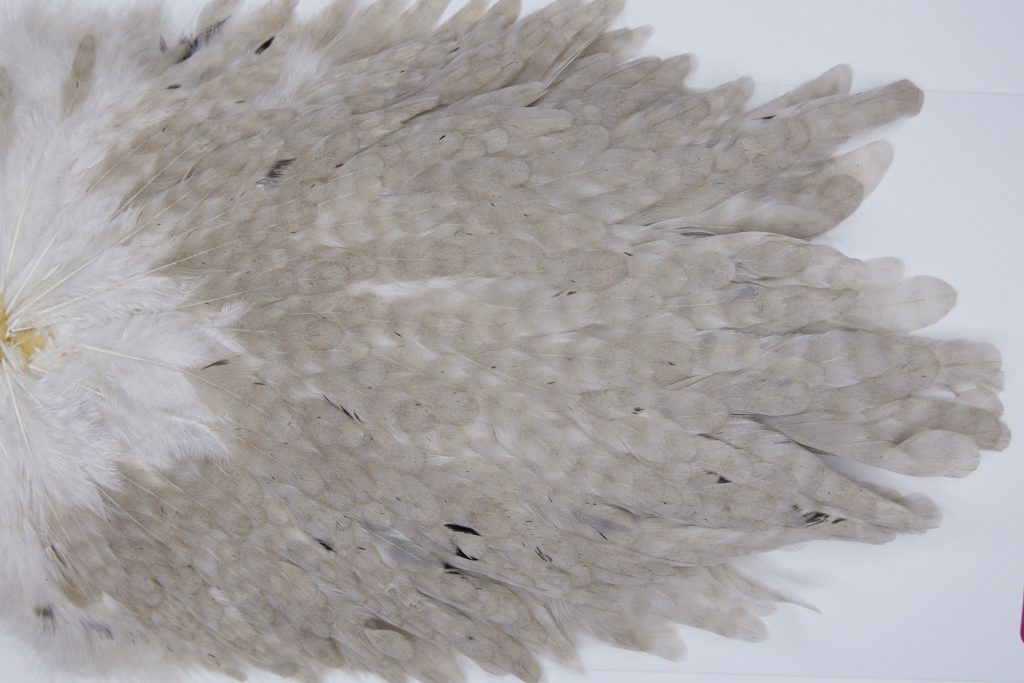 3018 Whiting Hen Saddle Brown