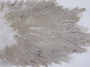 3018 Whiting Hen Saddle Brown