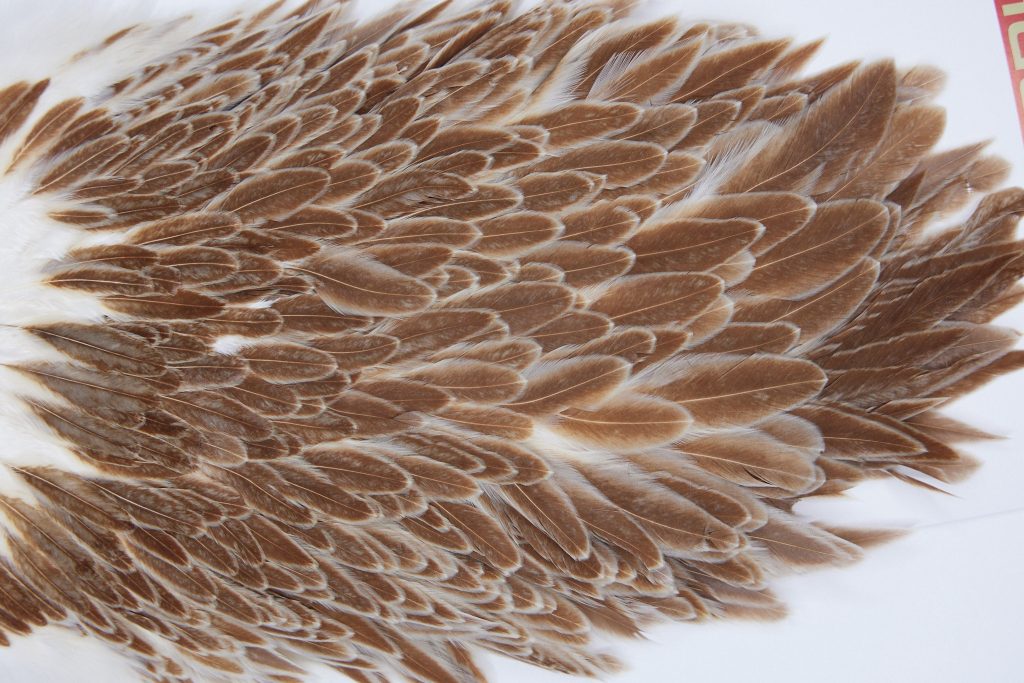 3024 Whiting Hen Saddle Variant