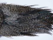 3060 Coq De Leon Dry Fly Hackle,  Bronze Grade Rooster Saddle Grizzly Variant