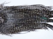 3068 Coq De Leon Dry Fly Hackle,  Bronze Grade Rooster Saddle Grizzly Variant