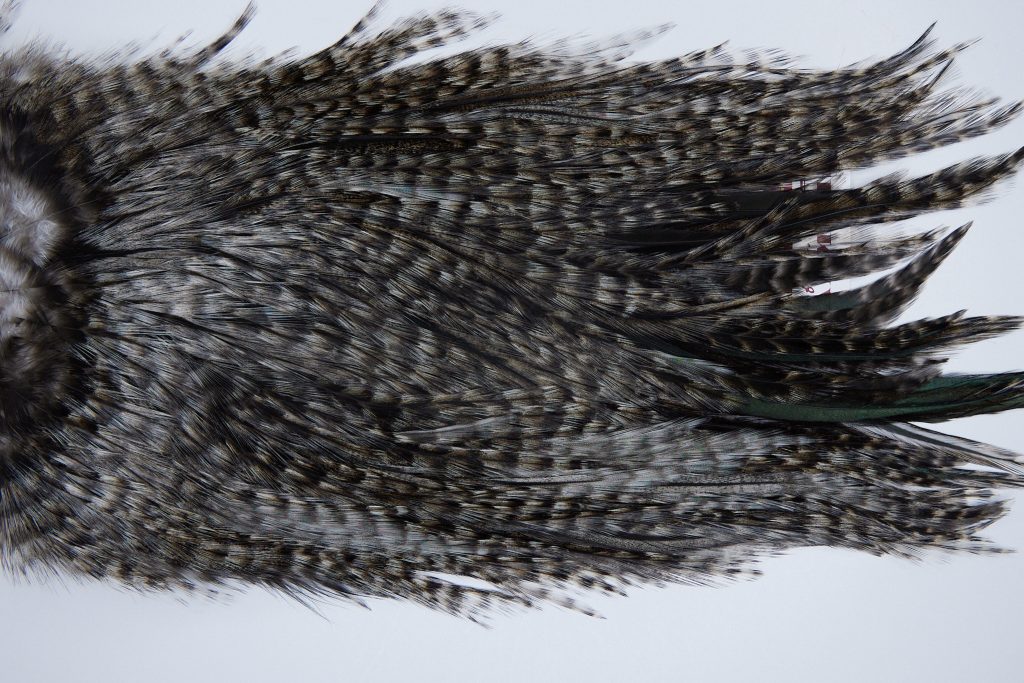 3072 Coq De Leon Dry Fly Hackle,  Bronze Grade Rooster Saddle Grizzly Variant