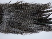 3072 Coq De Leon Dry Fly Hackle,  Bronze Grade Rooster Saddle Grizzly Variant