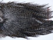 3081 Coq De Leon Dry Fly Hackle,  Bronze Grade Rooster Saddle Grizzly Variant