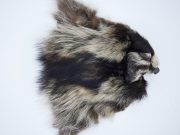 JimsFlyCo. - Raccoon Mask