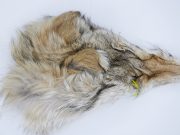 JimsFlyCo. - Coyote Mask