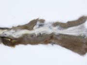 Hareline - Pine Squirrel Skin