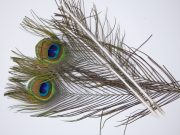 JimsFlyCo. - Peacock Eyes Herl, Gold