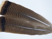 JimsFlyCo. - Turkey Tail Feather Pair