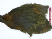 3139 Cog De Leon Hen Cape Variant