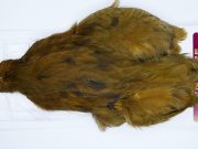 3140 Cog De Leon Hen Cape Variant