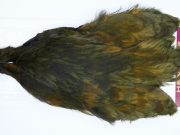 3141 Cog De Leon Hen Cape Variant