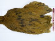 3143 Cog De Leon Hen Cape Variant