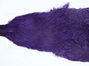 3147 Cog De Leon Hen Cape Speckled Purple