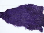 3148 Cog De Leon Hen Cape Speckled Purple