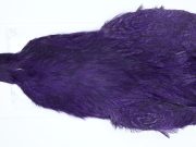 3149 Cog De Leon Hen Cape Speckled Purple