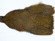 3153 Cog De Leon Hen Cape Speckled Golden Olive