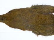 3154 Cog De Leon Hen Cape Speckled Golden Olive