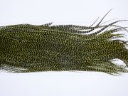 3276 Whiting Dry Fly Hackle, Bronze Grade Rooster Saddle Grizzly Olive Ties Size 14-16