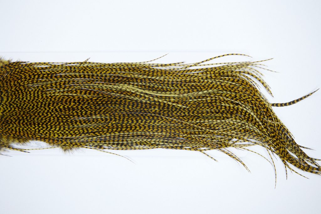 3288 Whiting Dry Fly Hackle, Bronze Grade Rooster Saddle Grizzly Golden Olive Ties Size 14-16