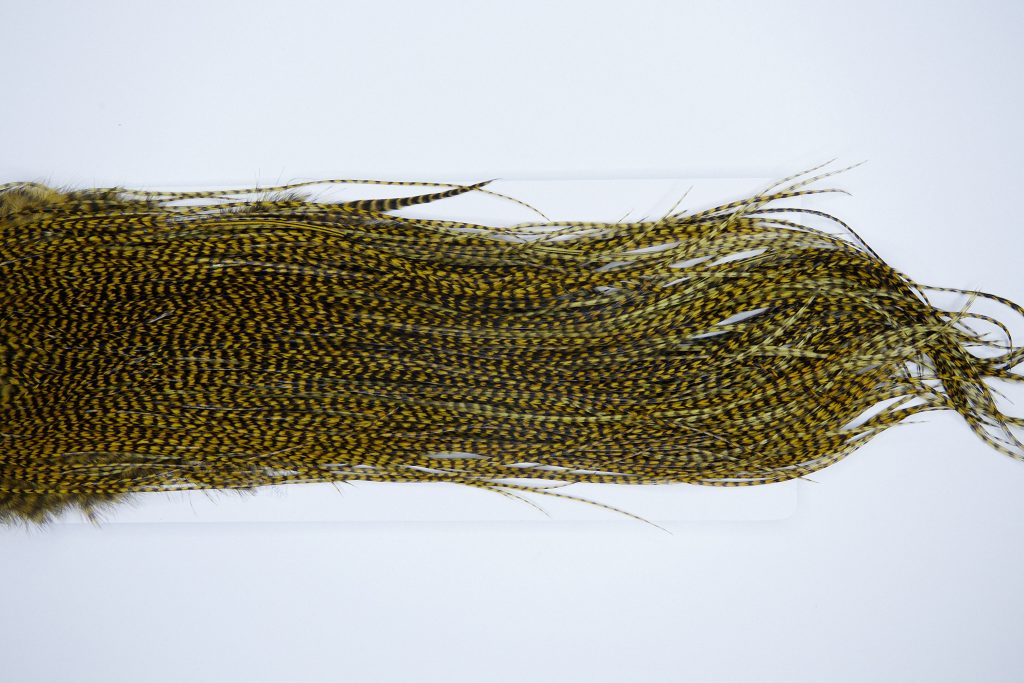 3290 Whiting Dry Fly Hackle, Bronze Grade Rooster Saddle Grizzly Golden Olive Ties Size 14-18