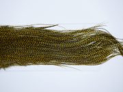 3290 Whiting Dry Fly Hackle, Bronze Grade Rooster Saddle Grizzly Golden Olive Ties Size 14-18