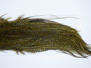 3292 Whiting Dry Fly Hackle, Bronze Grade Rooster Saddle Grizzly Golden Olive Ties Size 14-18