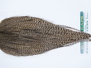 3397 Hebert Dry Fly Hackle, Bronze Grade Rooster Cape Dun Grizzly Ties Size 10-22