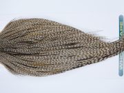 3401 Hebert Dry Fly Hackle, Bronze Grade Rooster Cape Dun Grizzly Ties Size 10-22