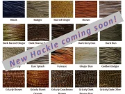 Not finding what you are looking for?