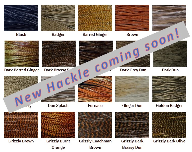 Not finding what you are looking for?