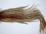 1844 Heritage Dry Fly Hackle, Variant #1 Grade Rooster Saddle, Ties Sizes 12-14