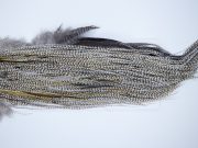 1954 Heritage Dry Fly Hackle, Grizzly Variant #2 Grade Rooster Saddle, Ties Sizes 14-16