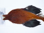 3461 Beaverkill Dry Fly Hackle, Rooster Cape Brown Ties Size 8-20