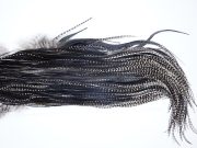 9002 Heritage Dry Fly Hackle, Grizzly Variant #1 Grade Rooster Saddle, Ties Sizes 12-16