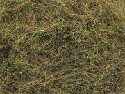 Arizona Diamond Dub - Dark Olive Brown